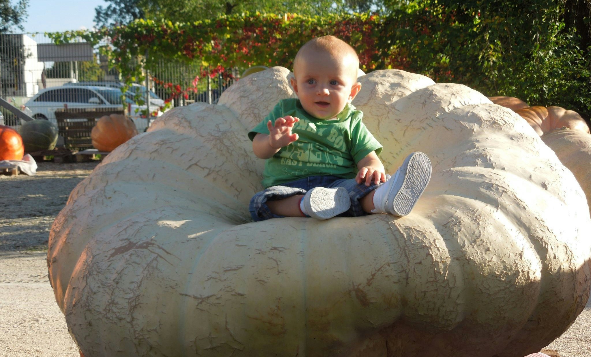 Auch die kleinsten Gäste zeigten sich von den Giganten begeistert.