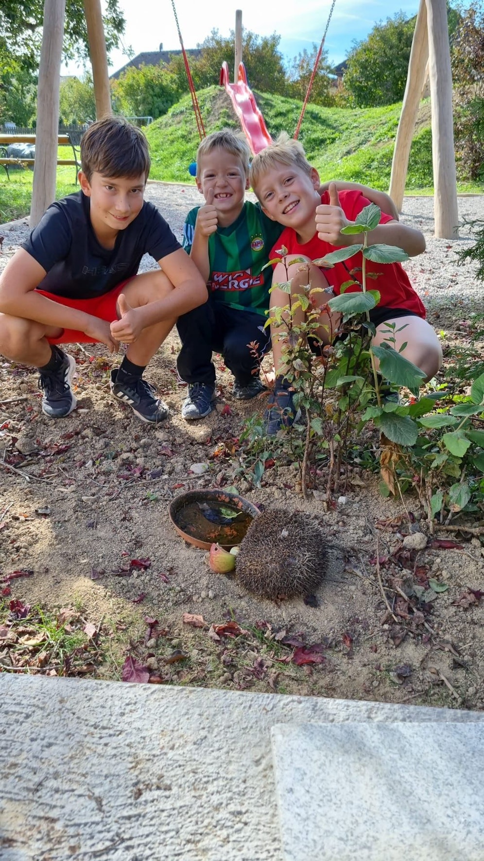 Florian, Pascal und Niklas von der Feuerwehrjugend Emmersdorf retteten einen Igel.