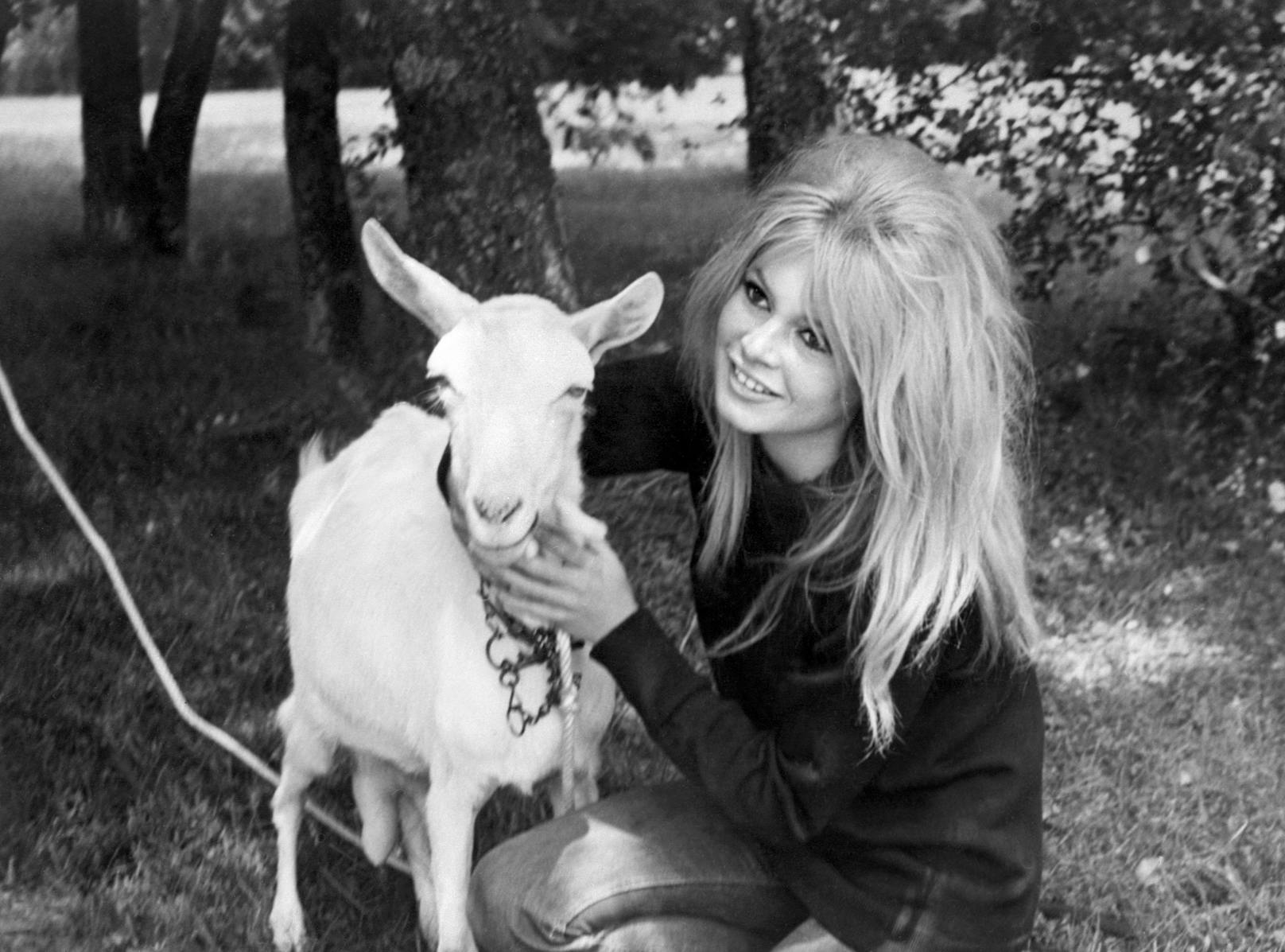 Schauspielerin und Ikone<strong> Brigitte Bardot</strong> war Vorreiterin und engagiert sich nun seit Jahrzehnten für den Tierschutz. 