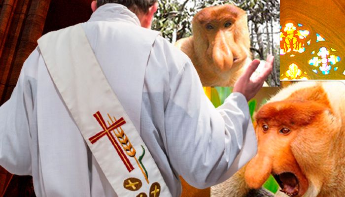 Die Chats des Bischofsvikars verletzten den Betroffenen tief. Er verschickte diese Nasenaffen-Fotos.