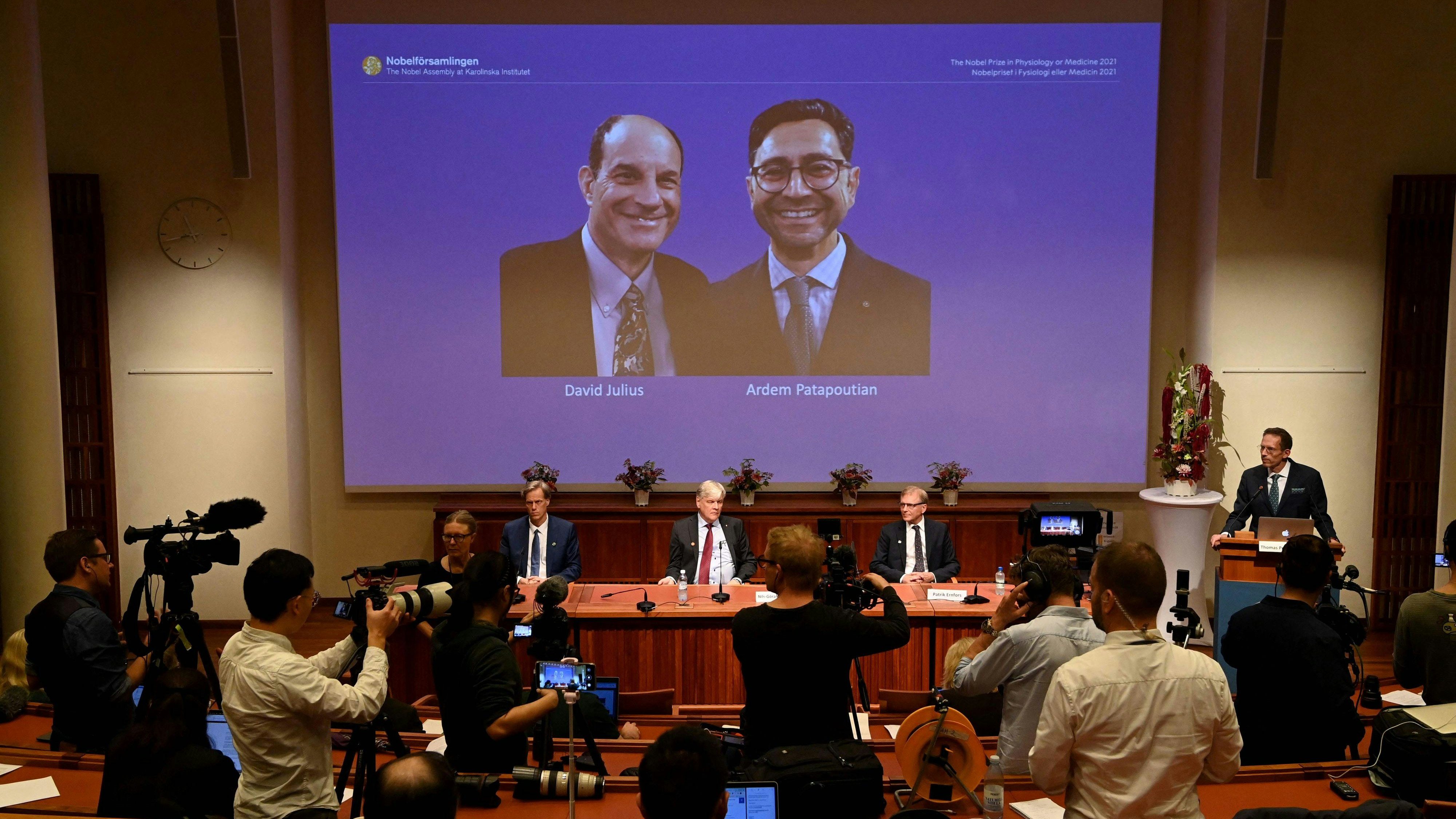 Der Nobelpreis für Medizin geht in diesem Jahr an David Julius (USA) und den im Libanon geborenen Forscher Ardem Patapoutian für ihre Entdeckung von Rezeptoren für Temperatur und Berührung im Körper. 