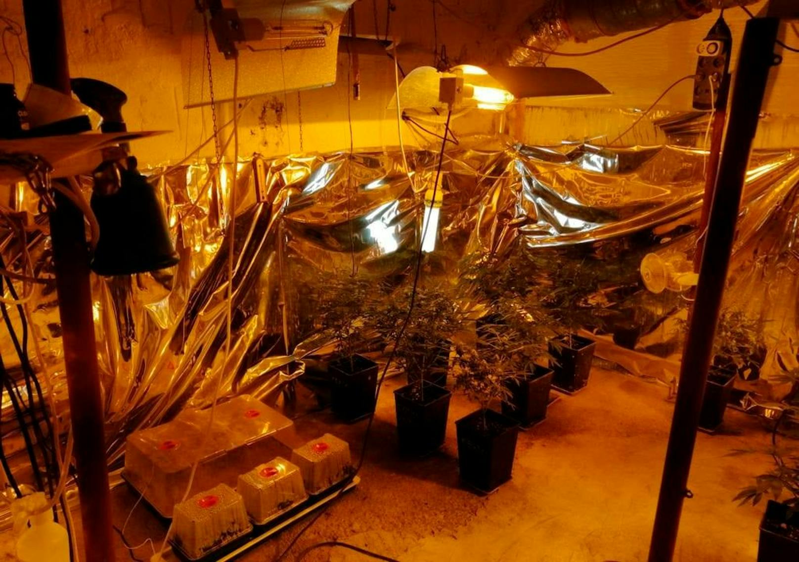 Auch mit Marihuana sollen die beiden gedealt haben. Auf Bildern der slowakischen Nationalpolizei sind Plantagen in Kellern zu sehen.