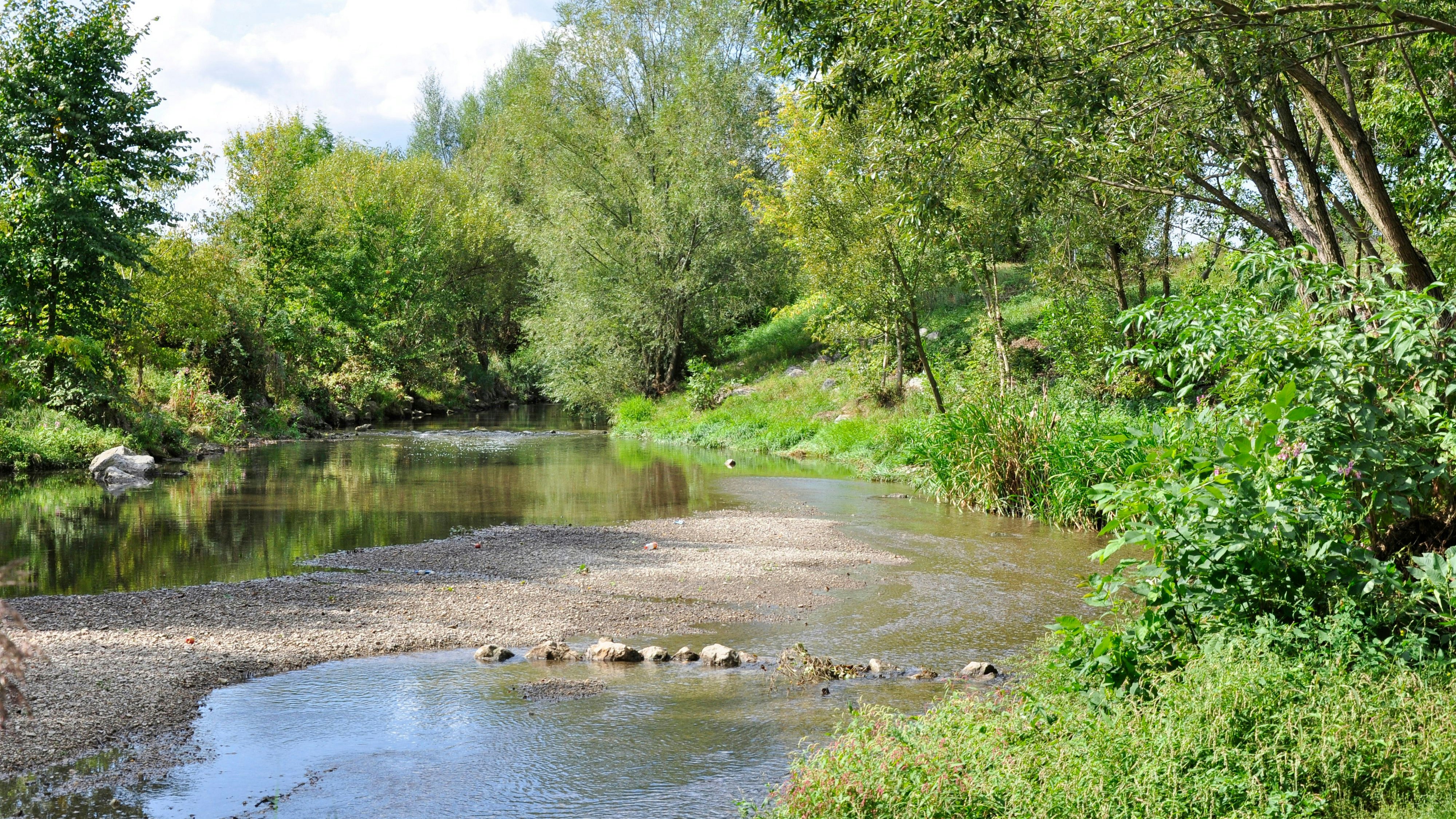 Die 23 Personen hielten sich beim Liesingbach in Favoriten auf.