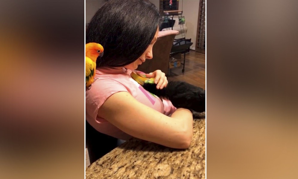 Janelle Tsao hatte den Wunsch nach einem ganz besonderen Haustier. 