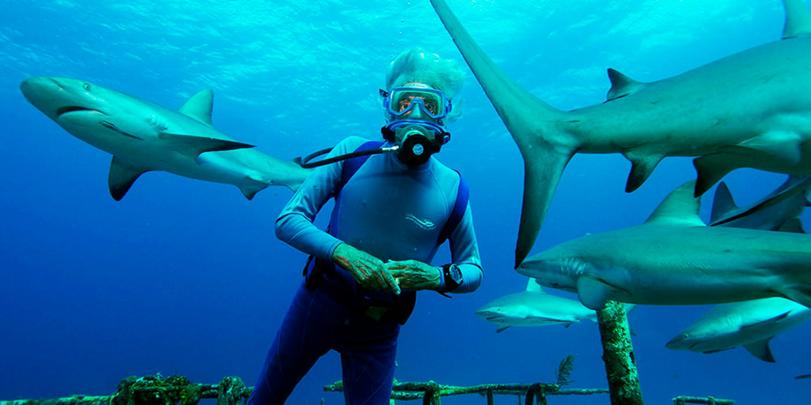 Arnold Schwarzenegger lässt Jean-Michel Cousteau für ihn tauchen.