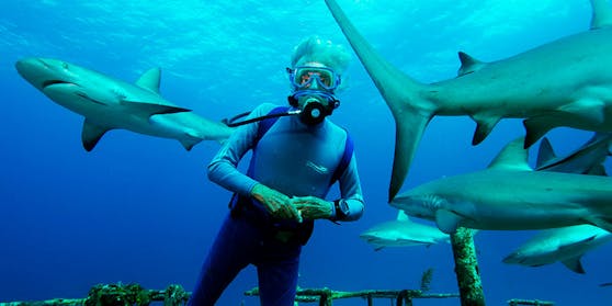 Arnold Schwarzenegger lässt Jean-Michel Cousteau für ihn tauchen.