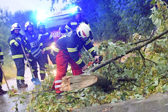 Feuerwehrkräfte bei der Beseitigung von Sturmschäden. (Symbolbild)