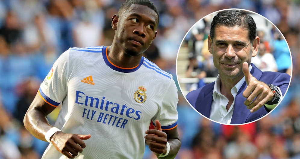 David Alaba, Fernando Hierro