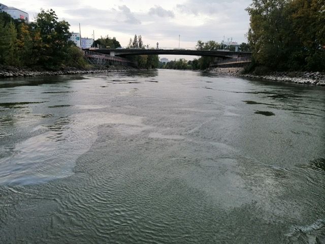 Ölfilm am Wiener Donaukanal 