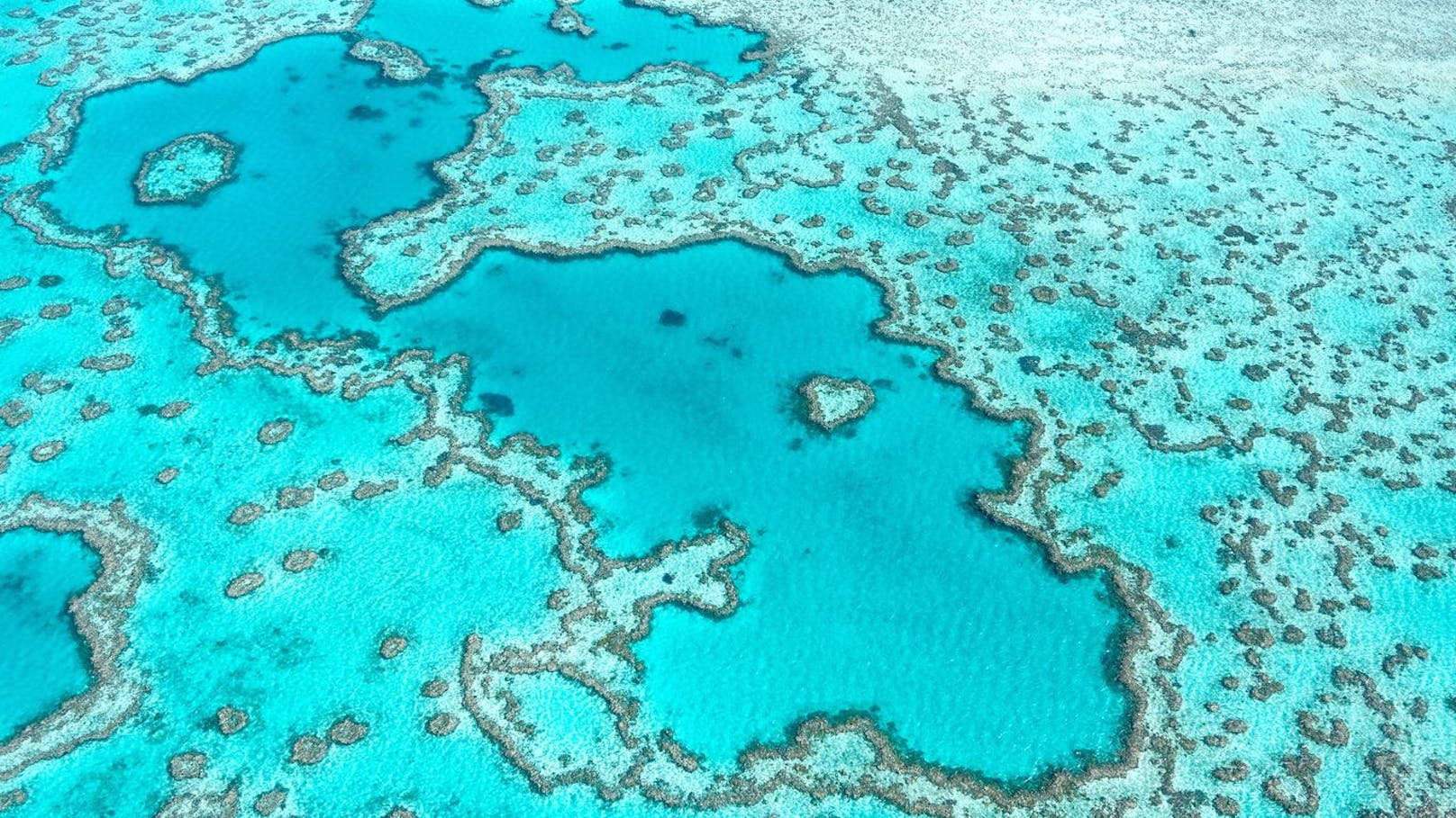 Das größte Korallenriff der Welt: Great Barrier Reef (Australien).
