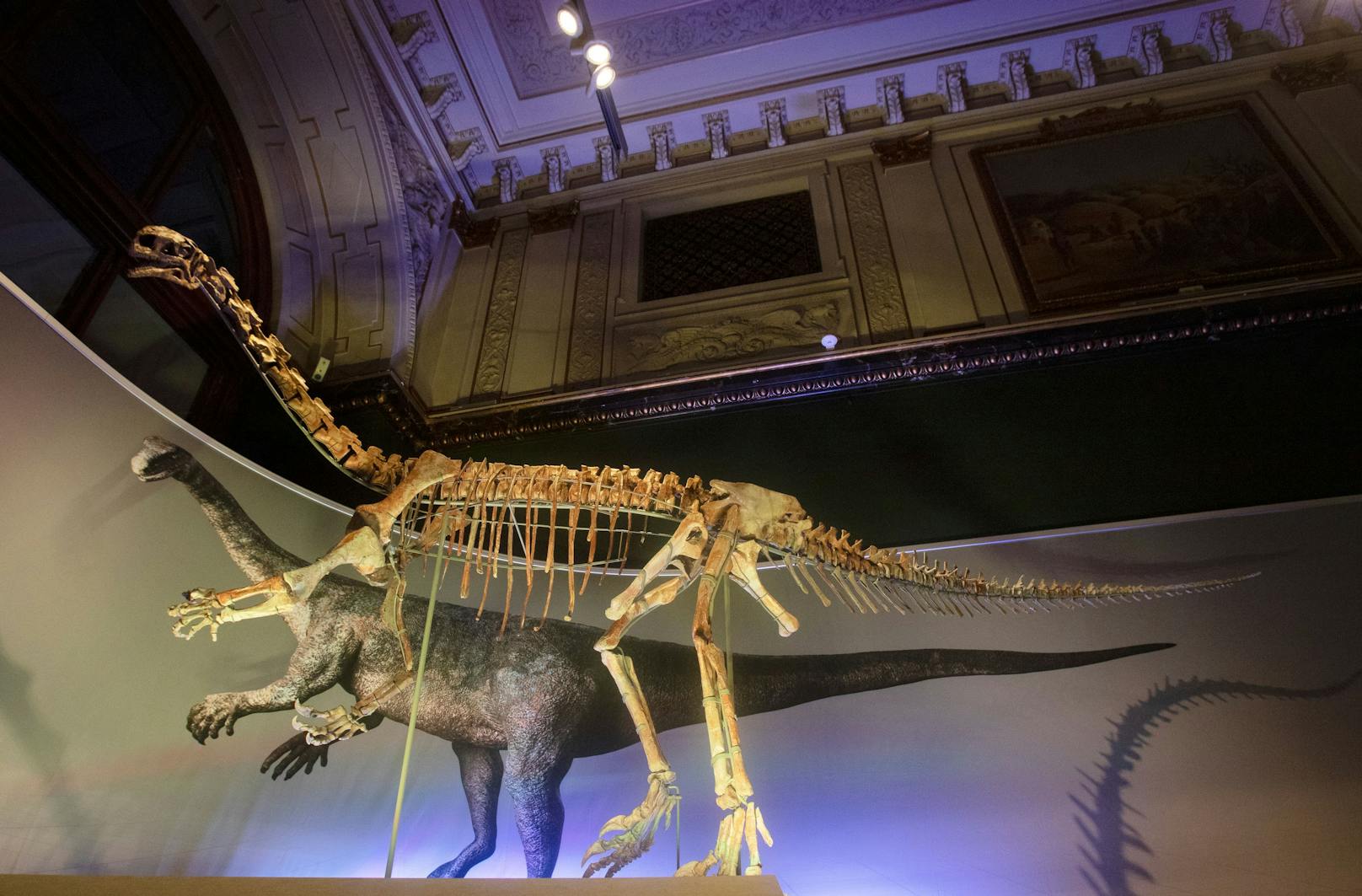 Neue Dino-Schau im Naturhistorischen Museum