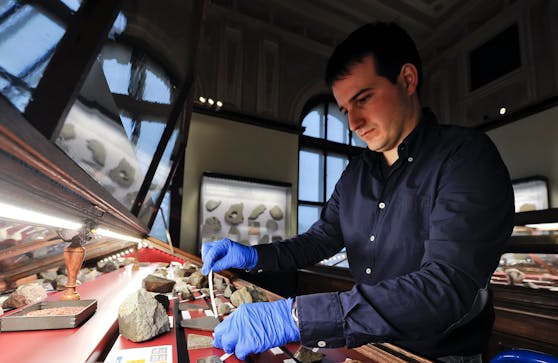 Das Naturhistorischen Museum in Wien beherbergt die größte Meteoritensammlung der Welt mit 1.100 Objekten.