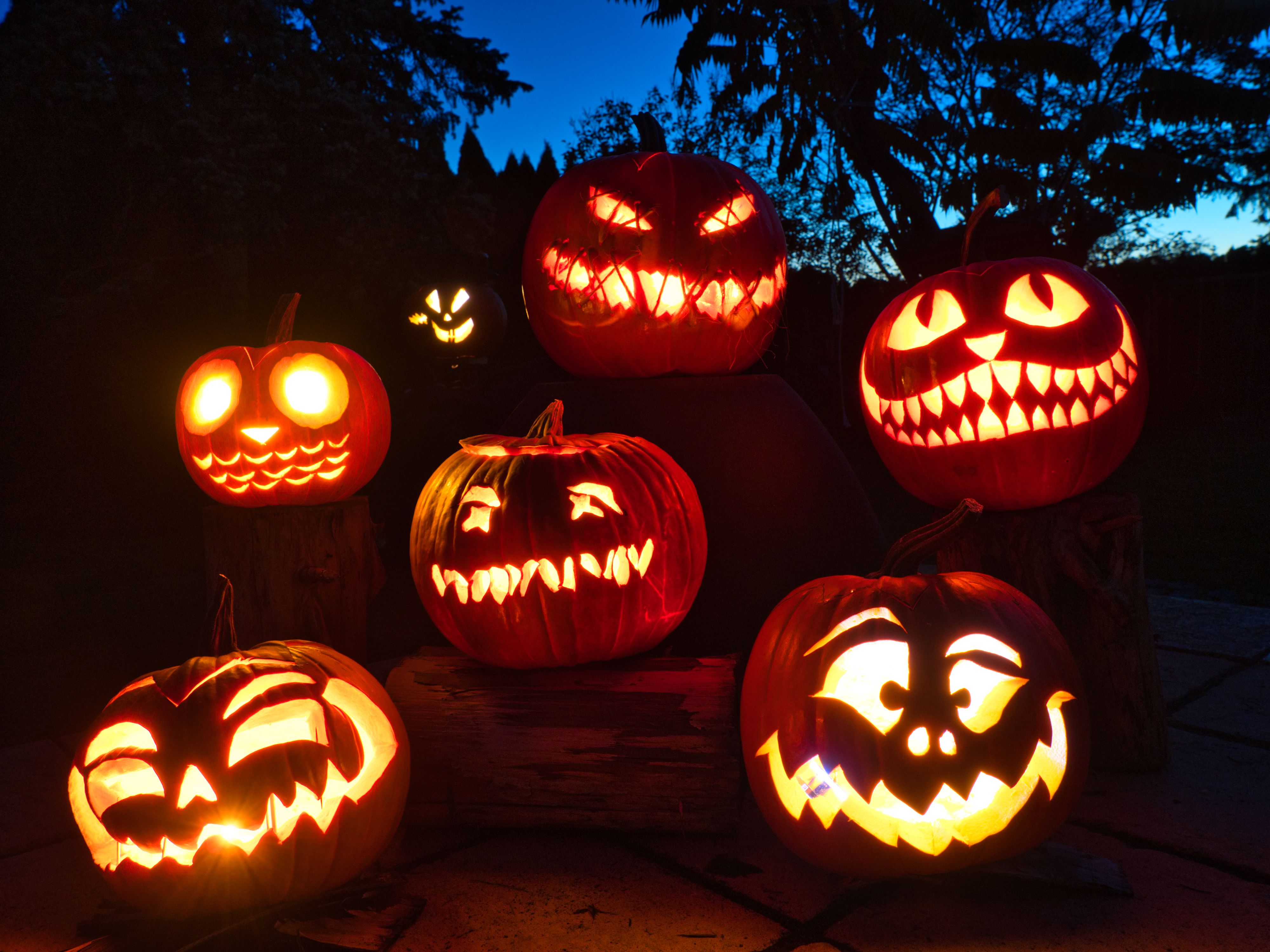 group of candle lit Halloween Pumpkin with blue sky in background