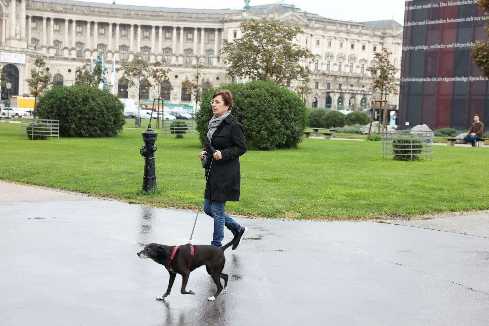 VdB-Ehefrau Doris Schmidauer geht derweil mit Hund "Juli" vor der Hofburg spazieren.