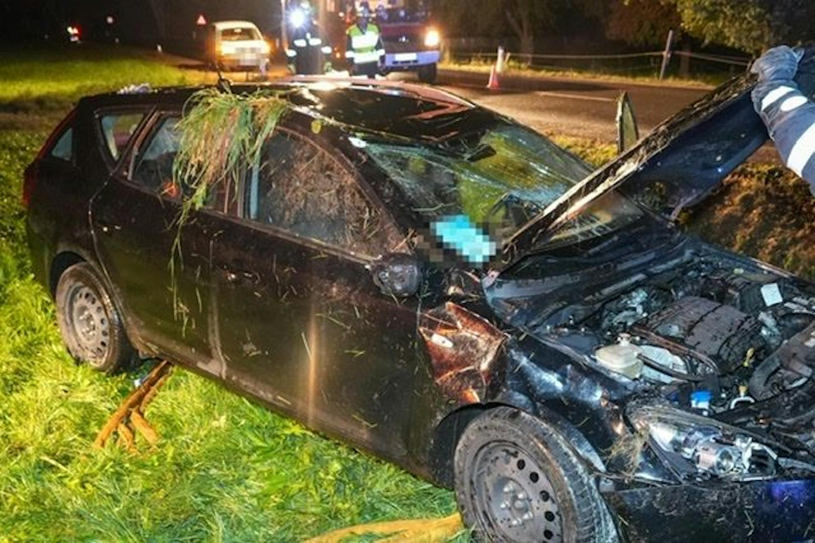 Eine alkoholisierte Lenkerin verlor die Kontrolle über ihren Wagen.