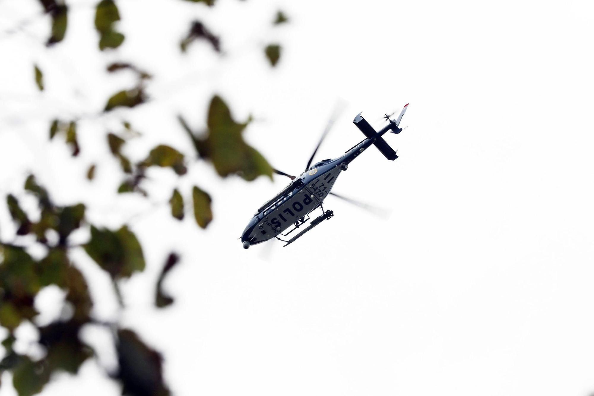Im Grenzgebiet zwischen Tschechien und Deutschland läuft zurzeit eine Suche nach einem achtjährigen Mädchen. (Symbolbild)