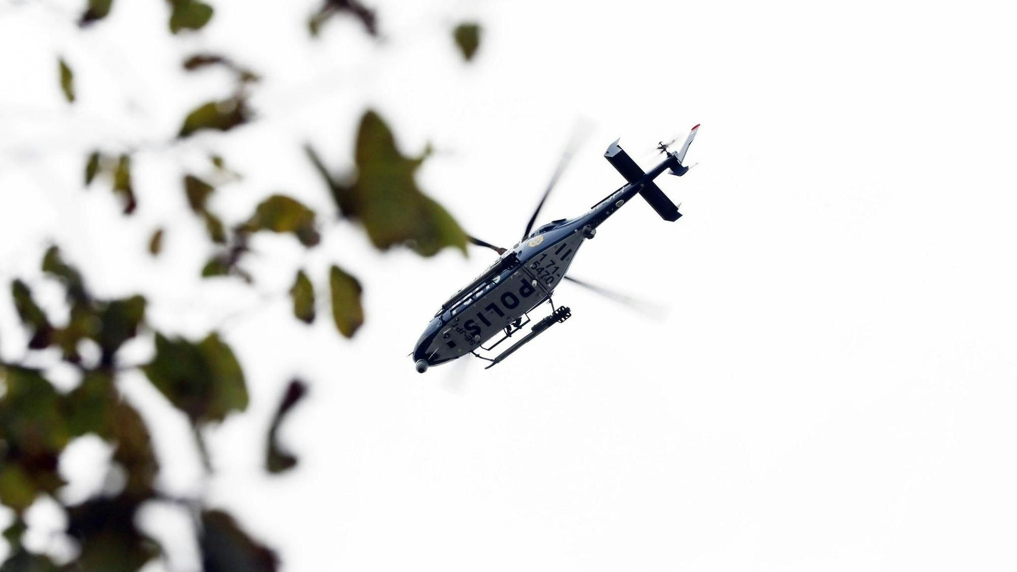 Im Grenzgebiet zwischen Tschechien und Deutschland läuft zurzeit eine Suche nach einem achtjährigen Mädchen. (Symbolbild)
