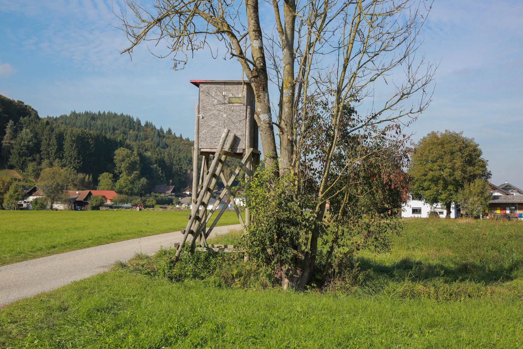 Von diesem Hochstand stürzte der junge Mann in den Tod.