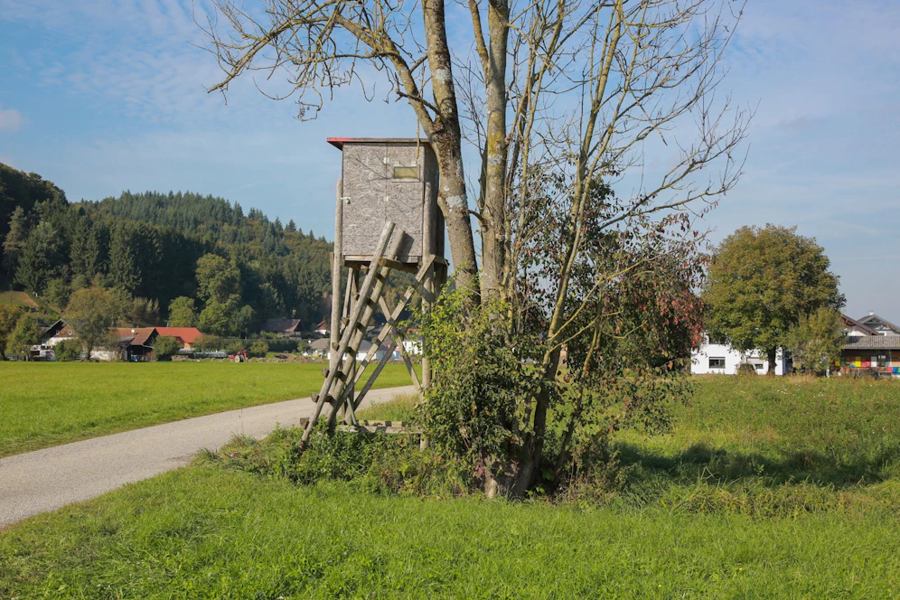 Von diesem Hochstand stürzte der junge Mann in den Tod.