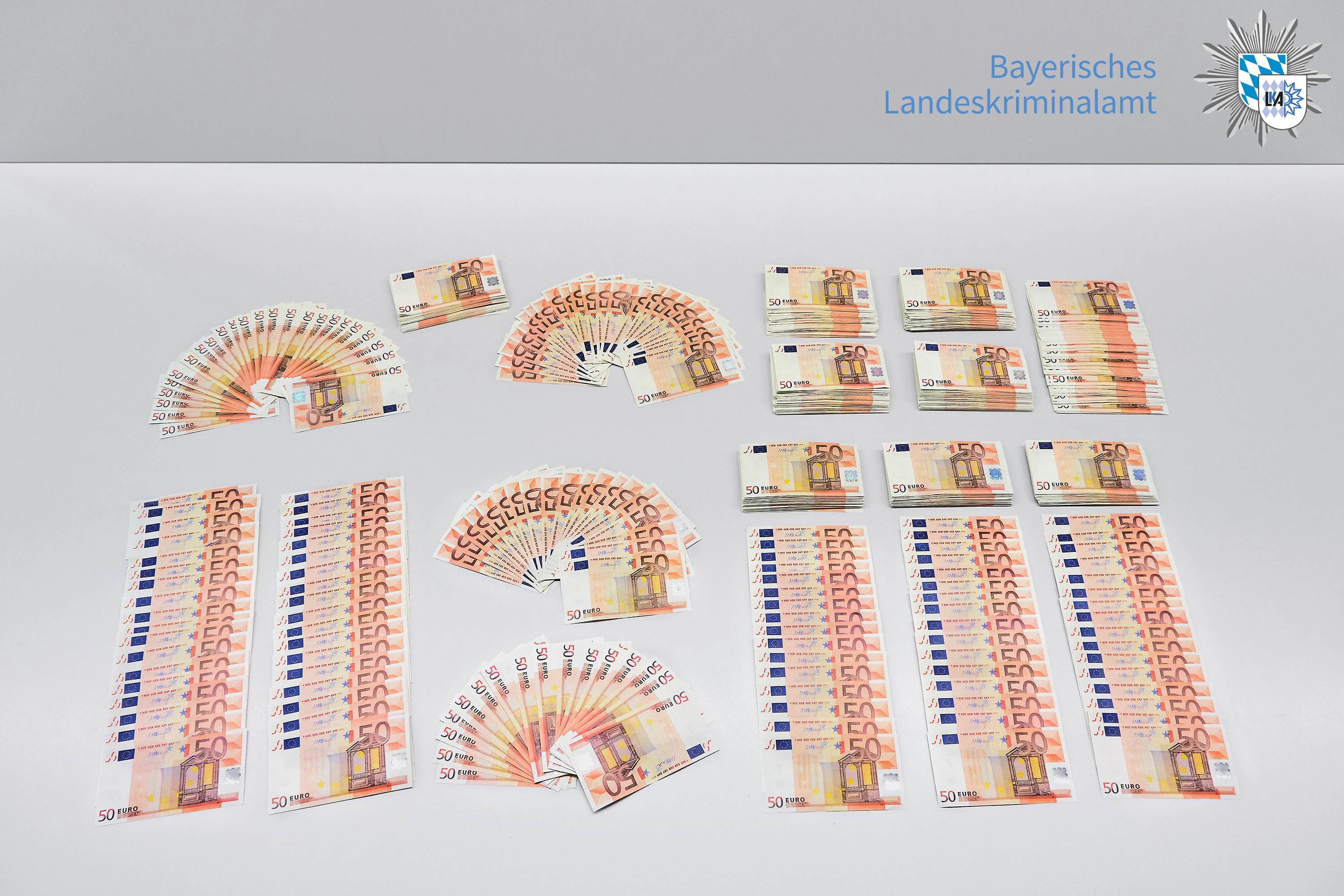 Das sichergestellte Falschgeld