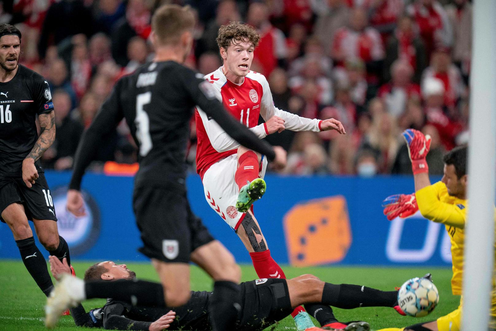 WM-Quali Dänemark gegen Österreich: Die besten Bilder zum Durchklicken