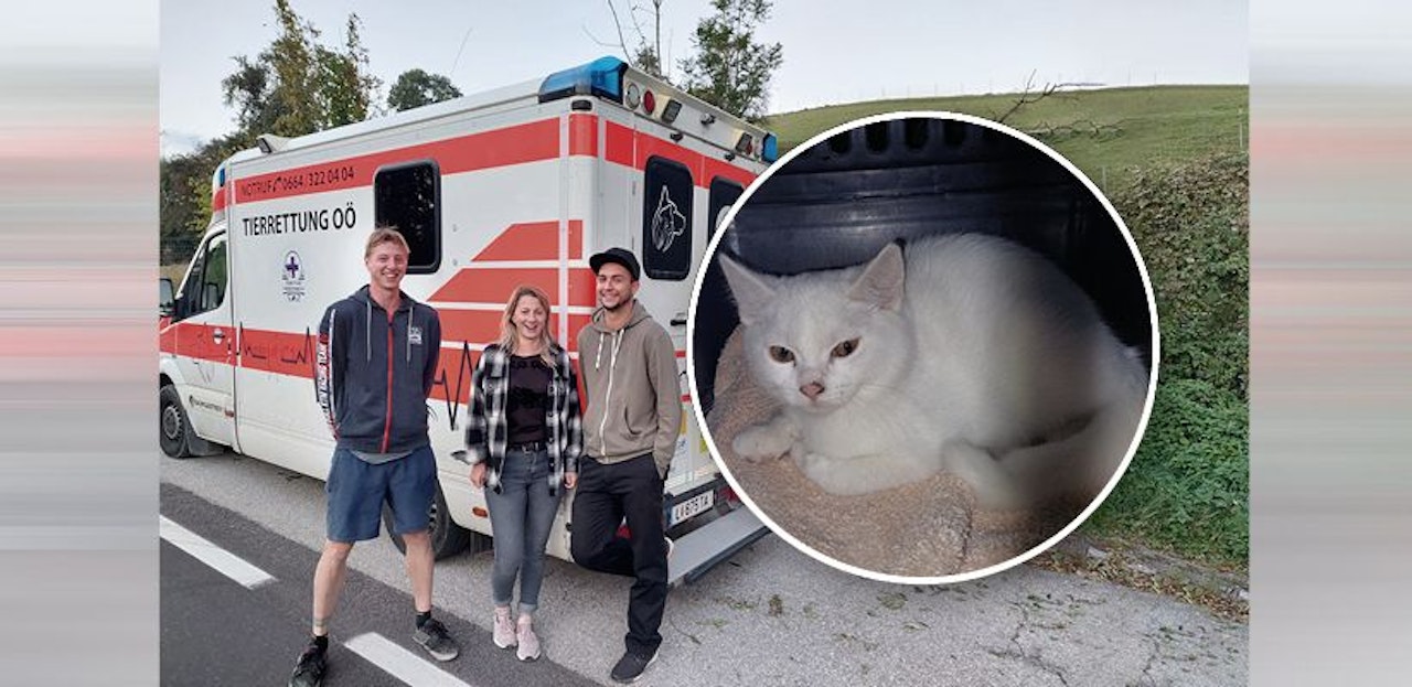 Heute.at - Jugendliche überführen mit Handy-Video Tierquäler