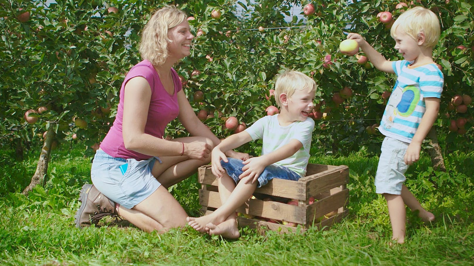 Kooperationen mit Produzenten wie der Bio-Äpfelbäuerin Christina Kager bilden eine der Tragesäulen der "Lidl-Klima-Offensive".