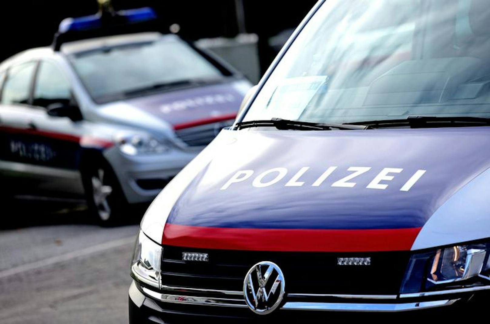 Die Polizei bittet um Hinweise und sucht nach der Rumänin mit Wohnsitz in der Steiermark.