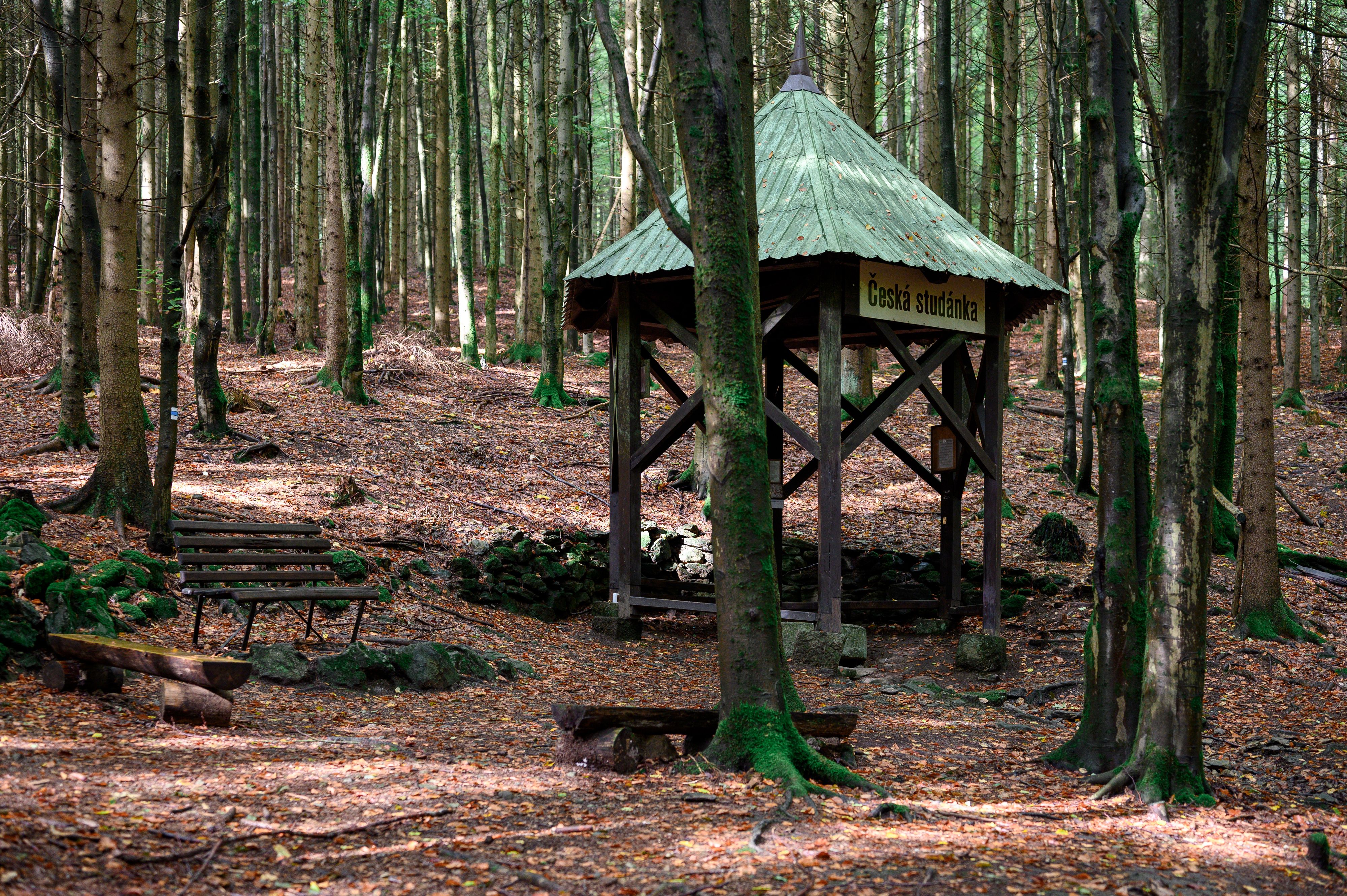 In diesem Unterstand wurde das Mädchen gefunden.