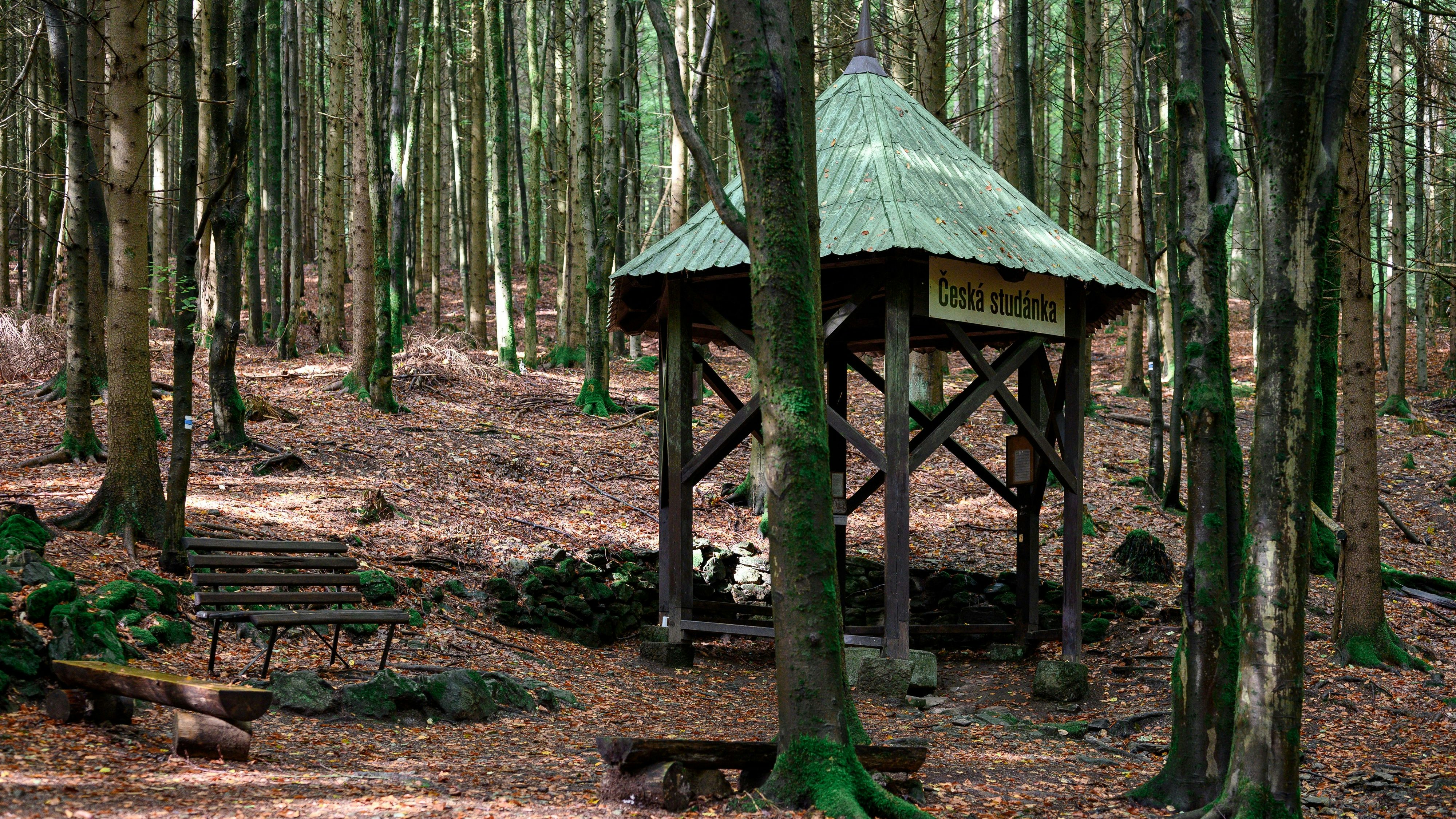 In diesem Unterstand wurde das Mädchen gefunden.