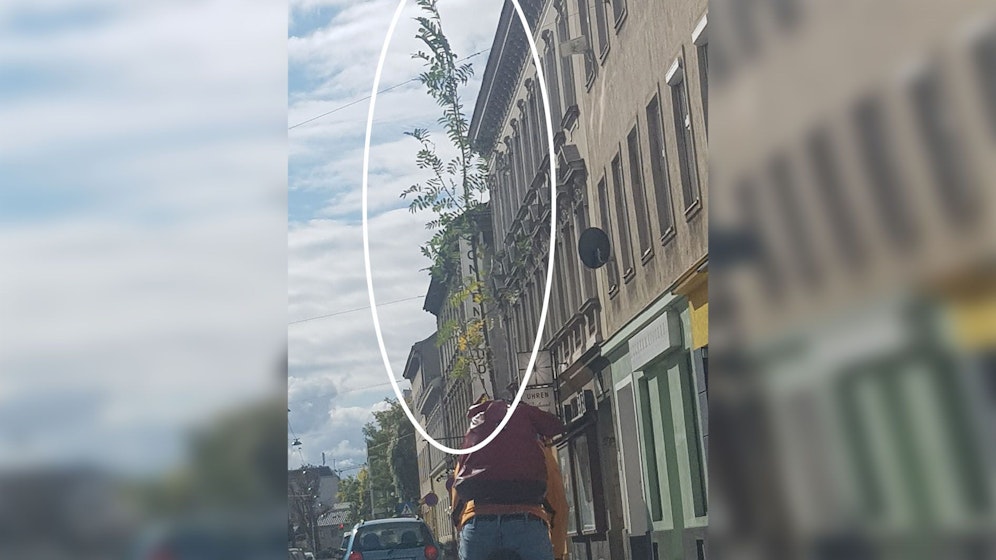 Könnte spätestens im Tunnel schwierig werden