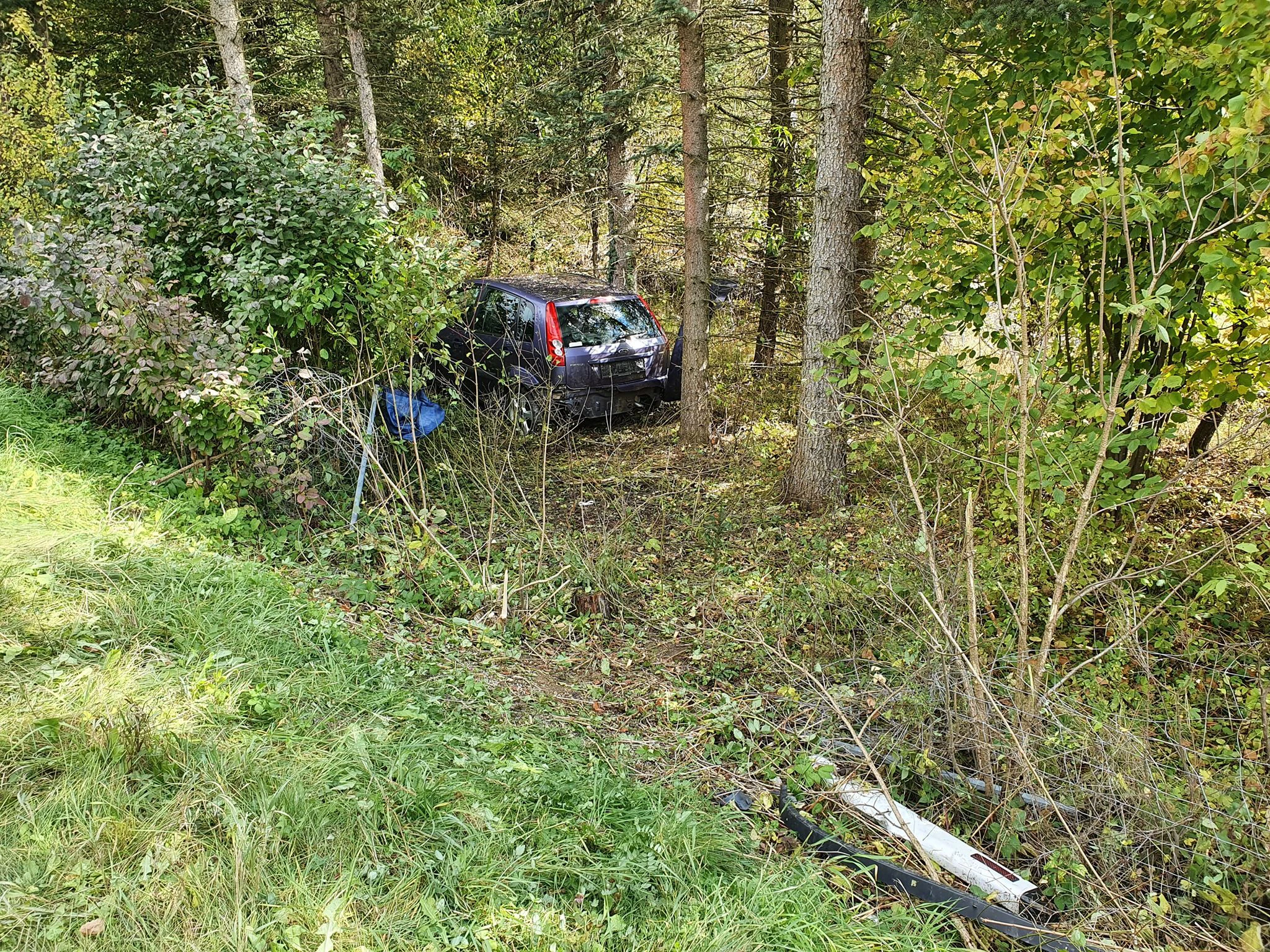 Der Lenker prallte gegen einen Baum.