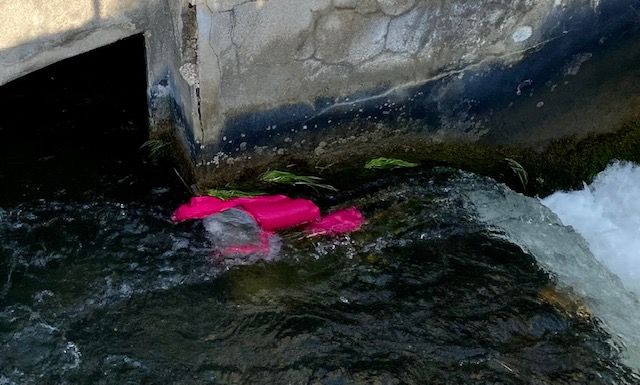 Die Polizei fischte eine rosane Jacke aus dem Wasser.
