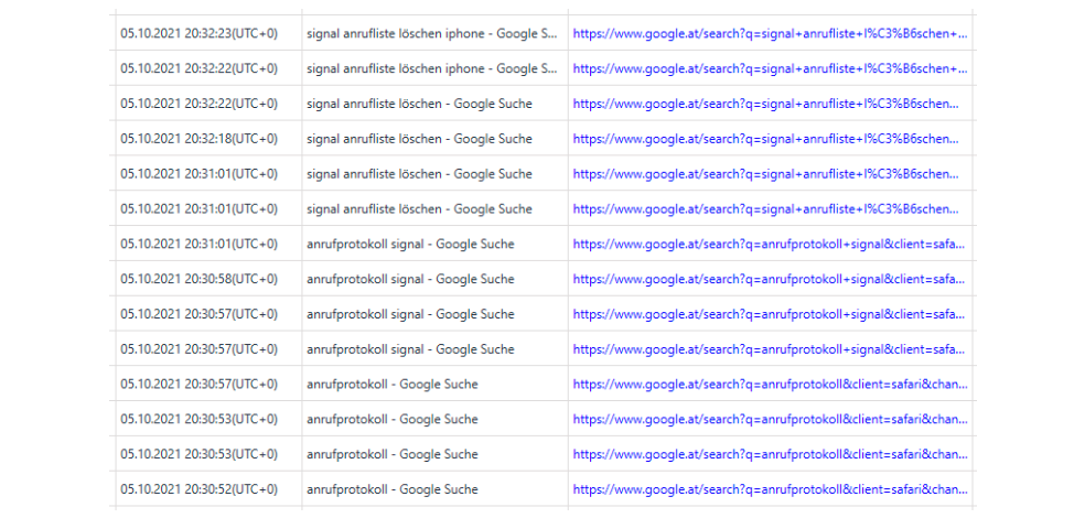 Der Suchverlauf der Sabine B. am Abend vor ihrer Festnahme.