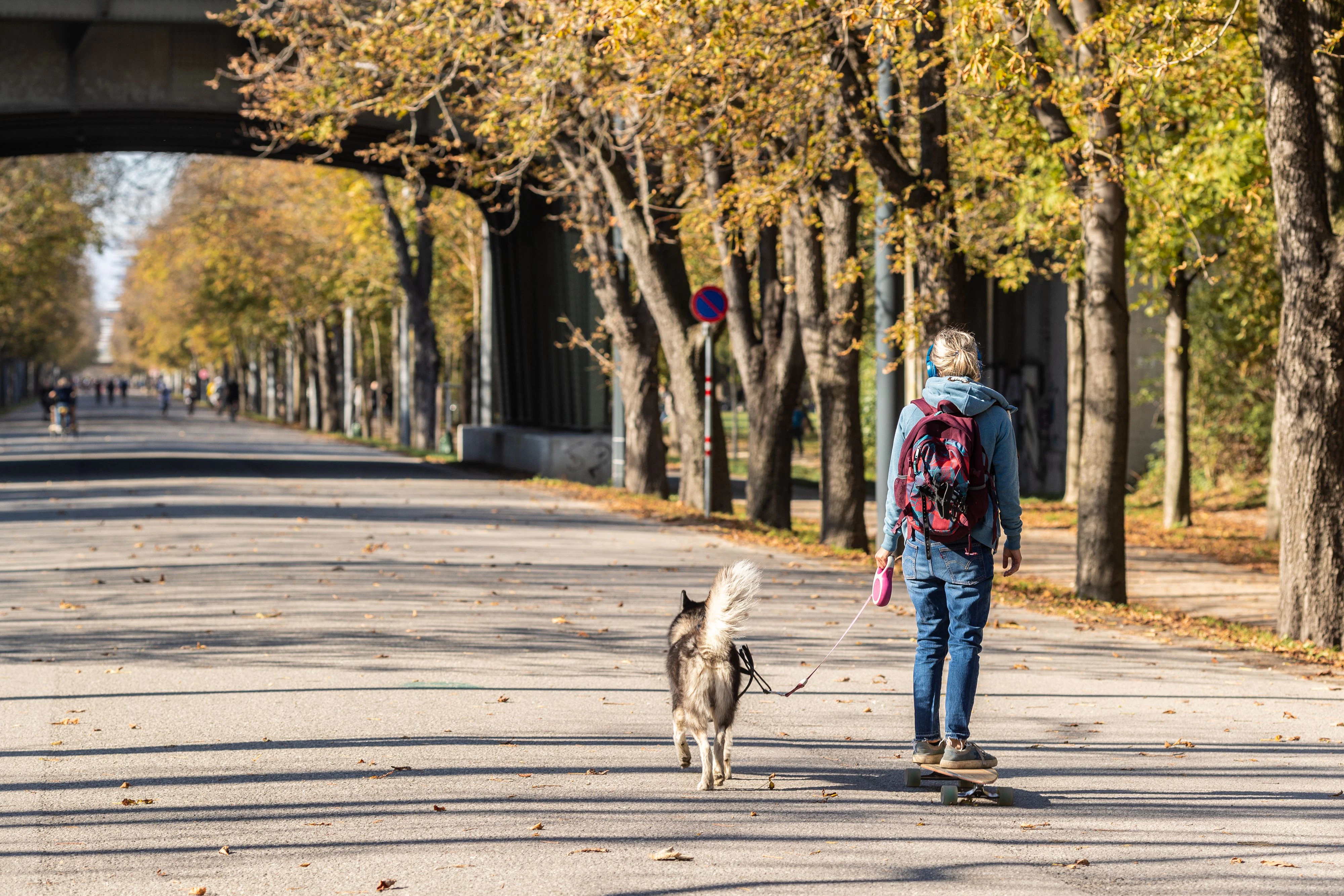 Ein Herbst-Wochenende mit viel Sonnenschein steht bevor.