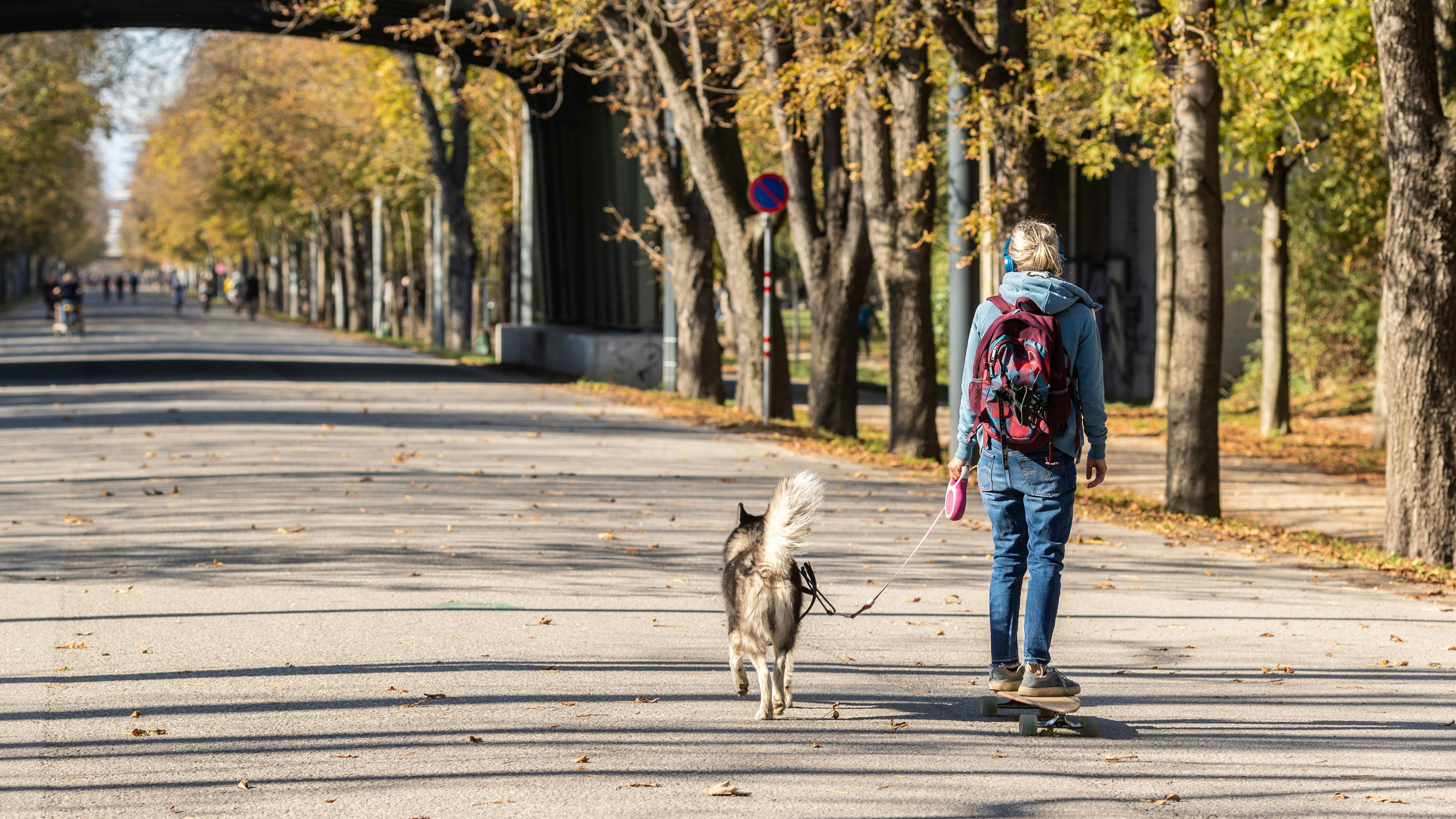 Ein Herbst-Wochenende mit viel Sonnenschein steht bevor.