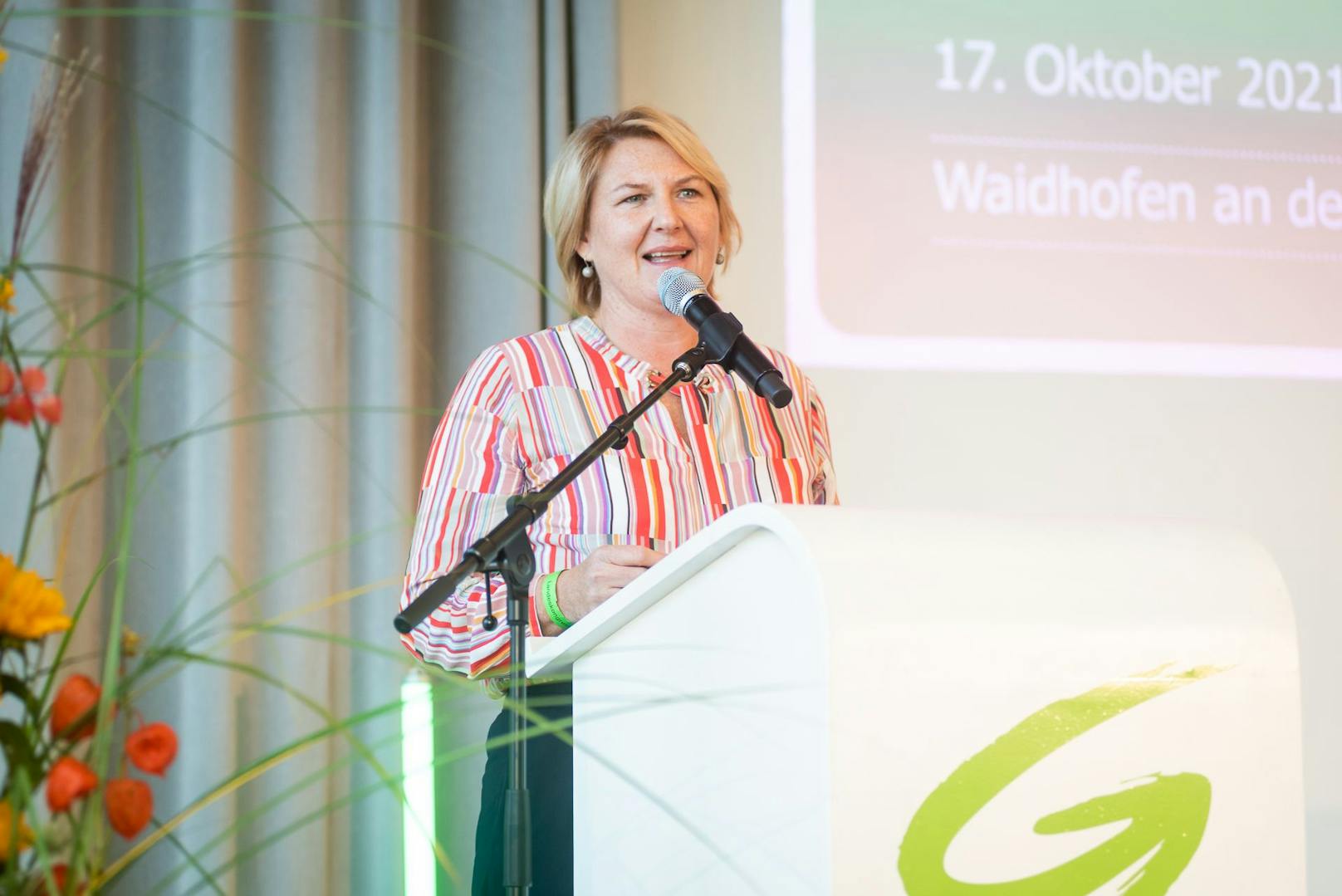 Helga Krismer, Chefin der nö. Grünen