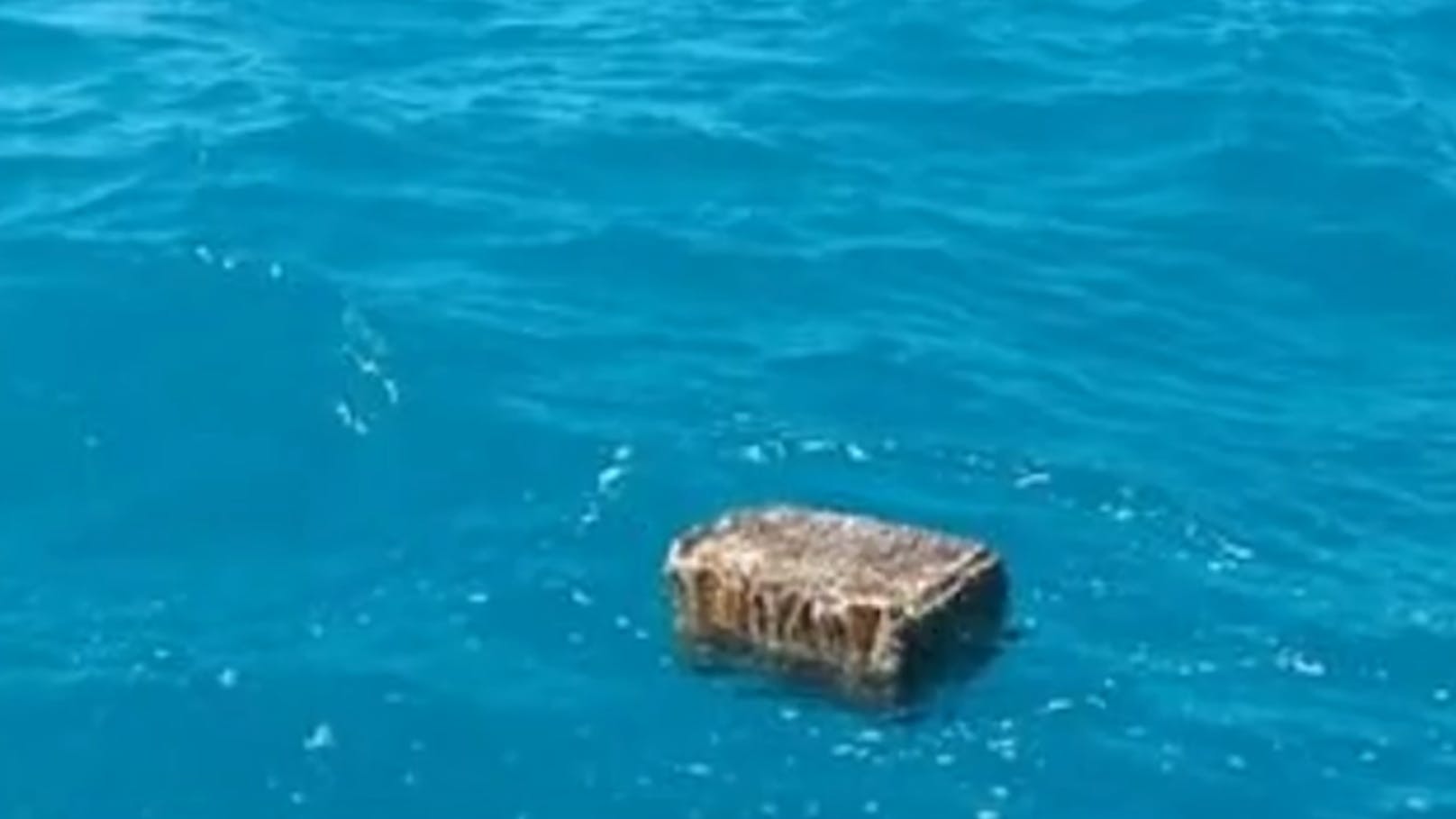 An der Nordostküste von Brasilien haben Forscher erneut mysteriöse Kisten gefunden.