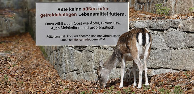 Die Schilder klären die Besucher nun auf.