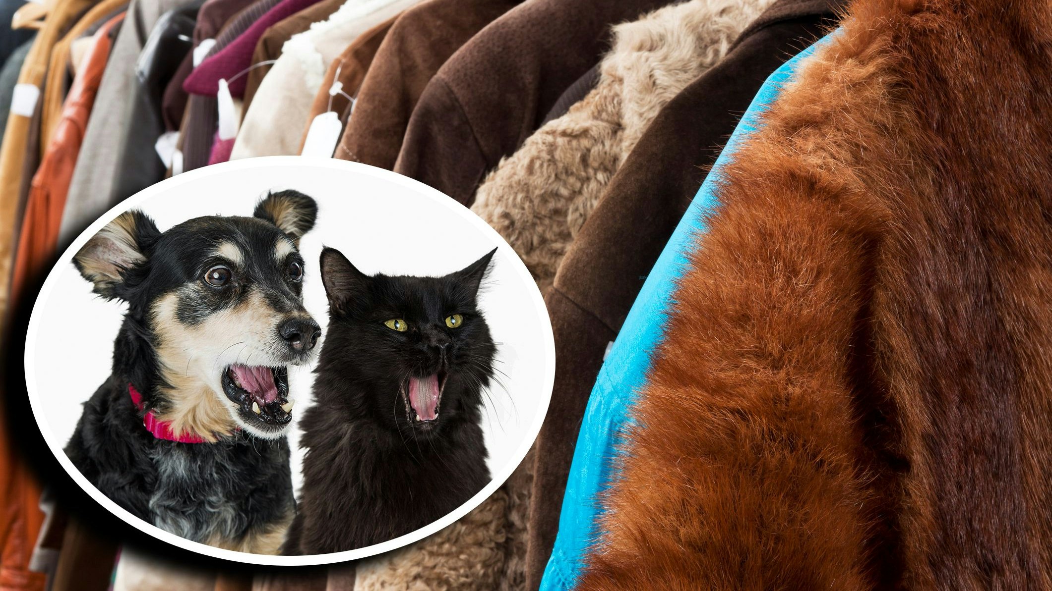 Die Kleidungsindustrie ist manchmal richtig gemein: Aus manchen Bezeichnungen wird man nicht schlau! 