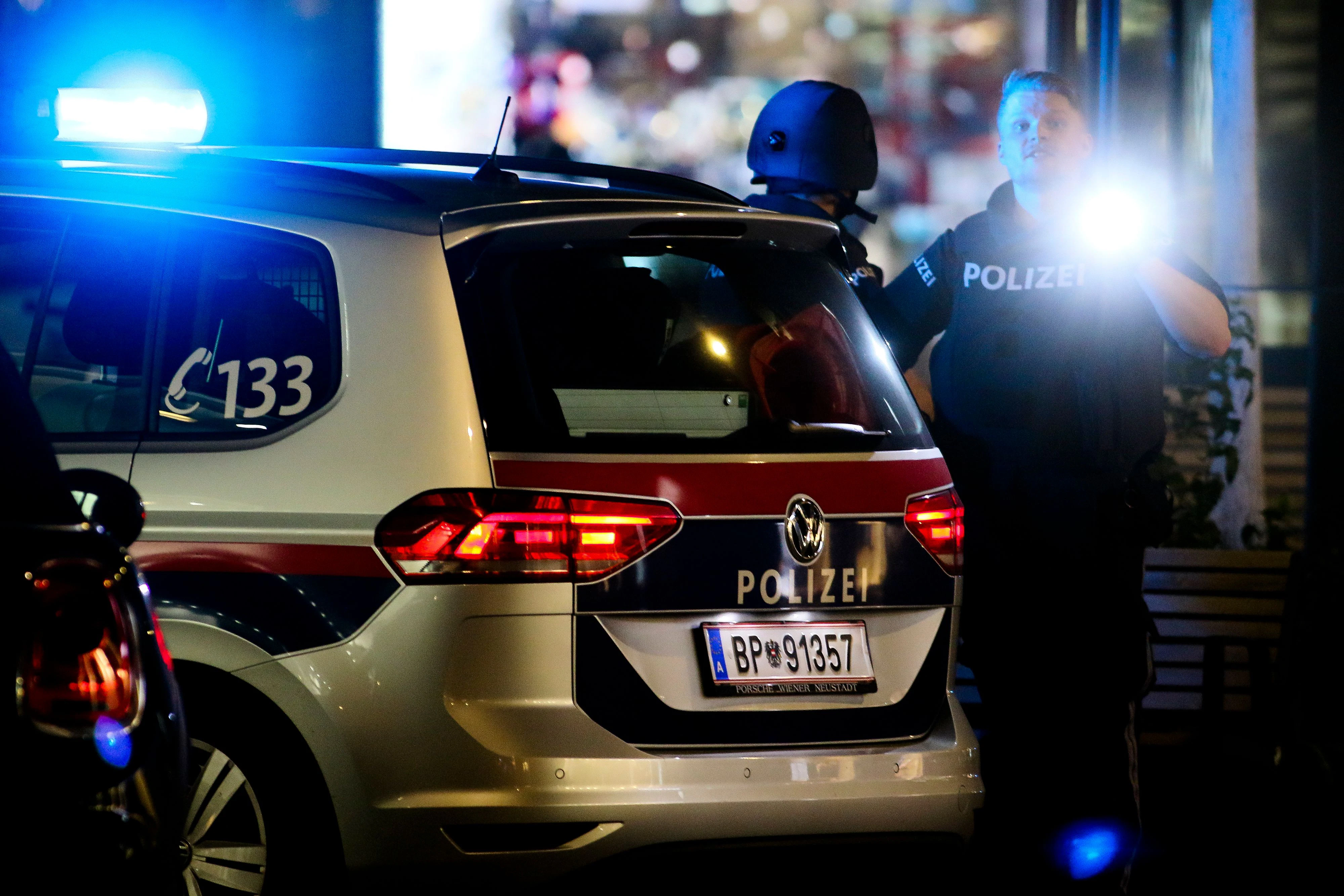 Mit Taschenlampen und Polizeihund machten die Beamten den Verdächtigen ausfindig.