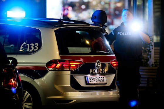 Mit Taschenlampen und Polizeihund machten die Beamten den Verdächtigen ausfindig.