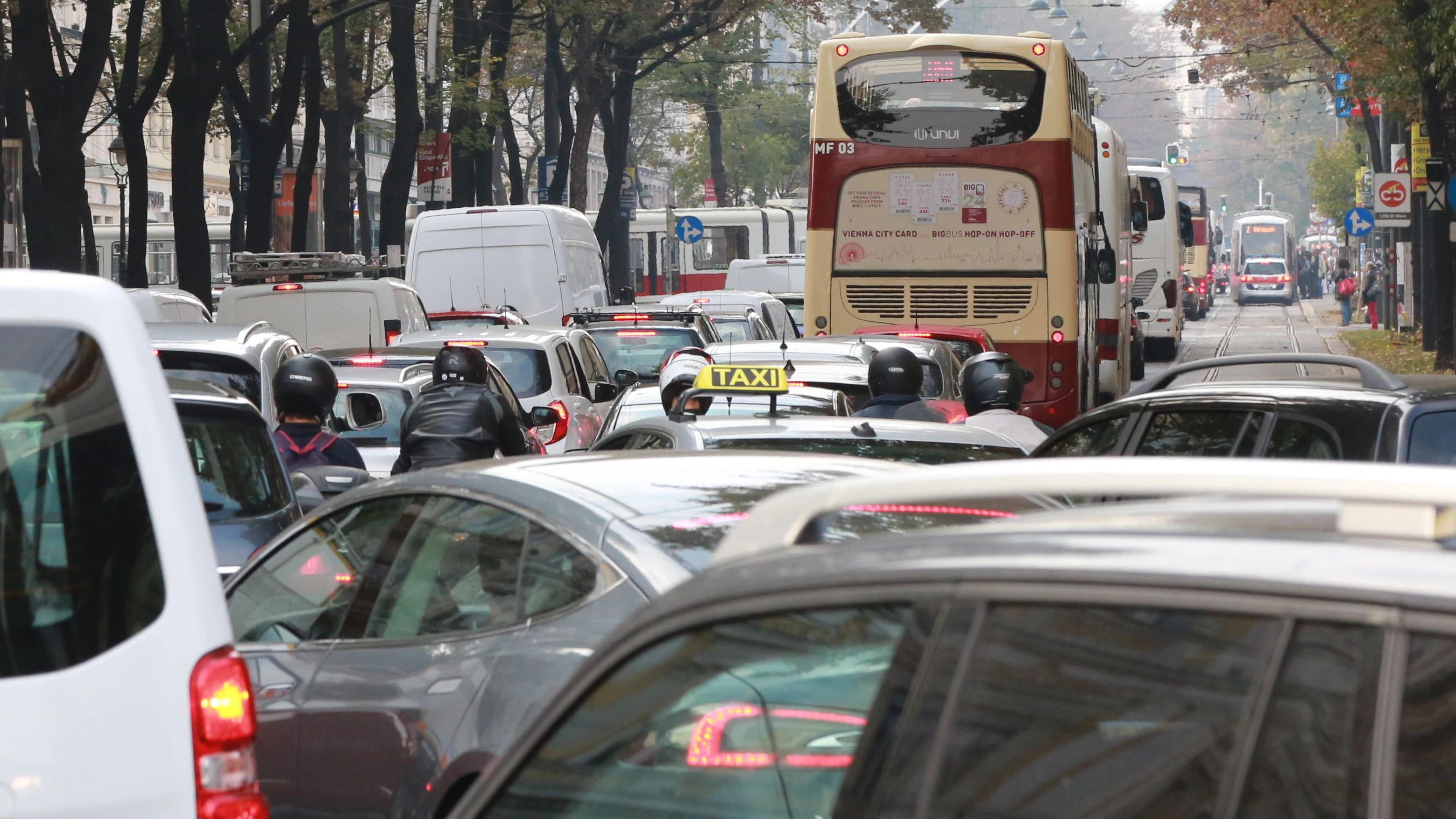 Stau auf der Wiener Ringstraße: Eine Expertin sagt, dass Fahrverbote schnell kommen müssten.