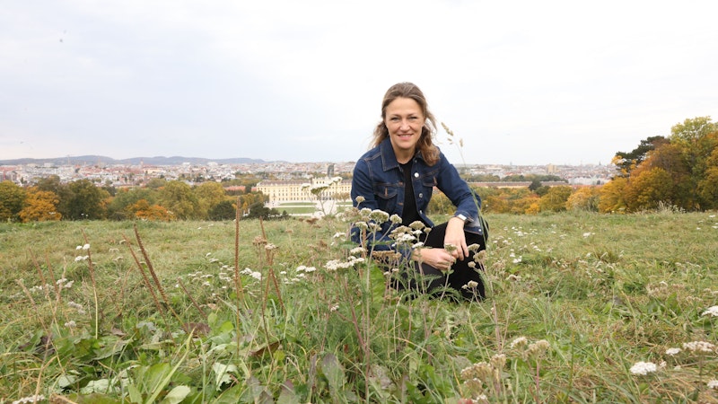 Bundesgärten-Chefin Katrin Völk auf der Blumenwiese bei der Gloriette in Wien.&nbsp;
