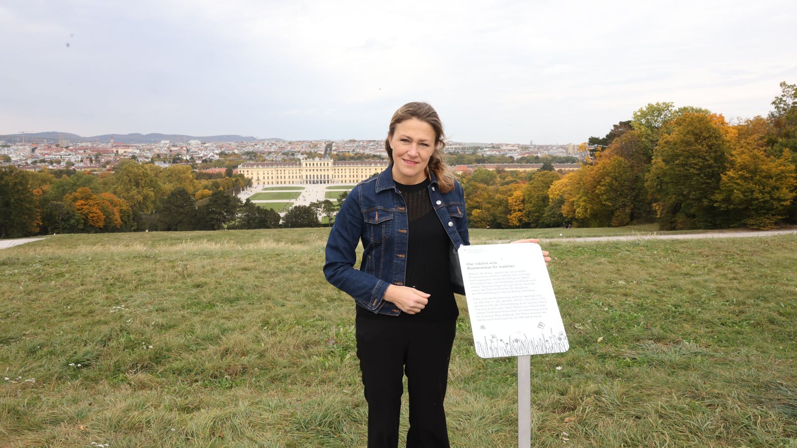 Statt auf Mähroboter setzt Völk auf Artenvielfalt im Schönbrunner Schlosspark