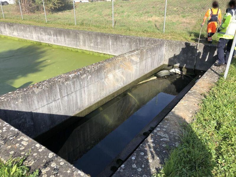 Nachdem die Einsatzkräfte das Wasser aus dem Becken abgepumpt hatten,…