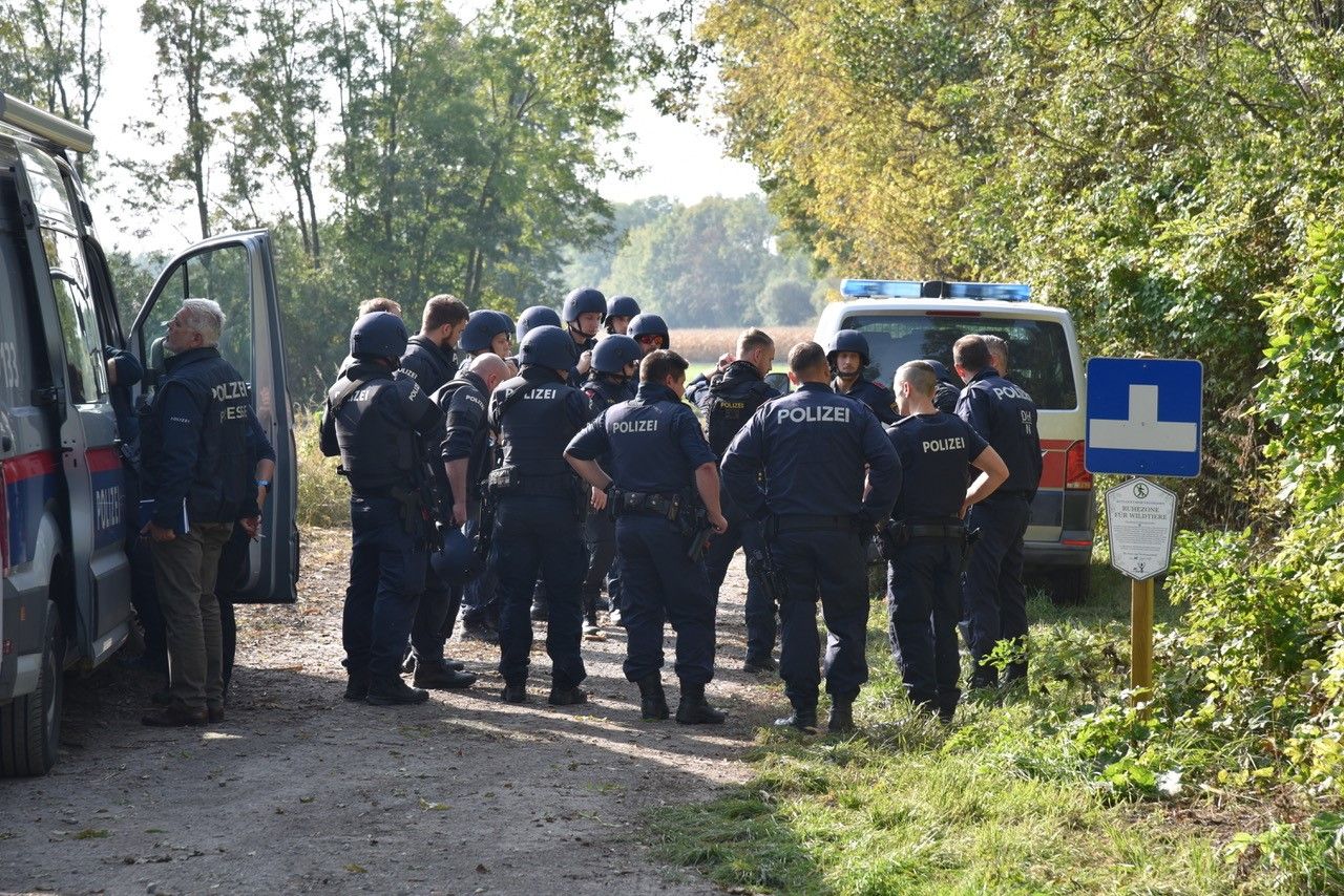 Fieberhafte Suche in Waldstück in Niederösterreich