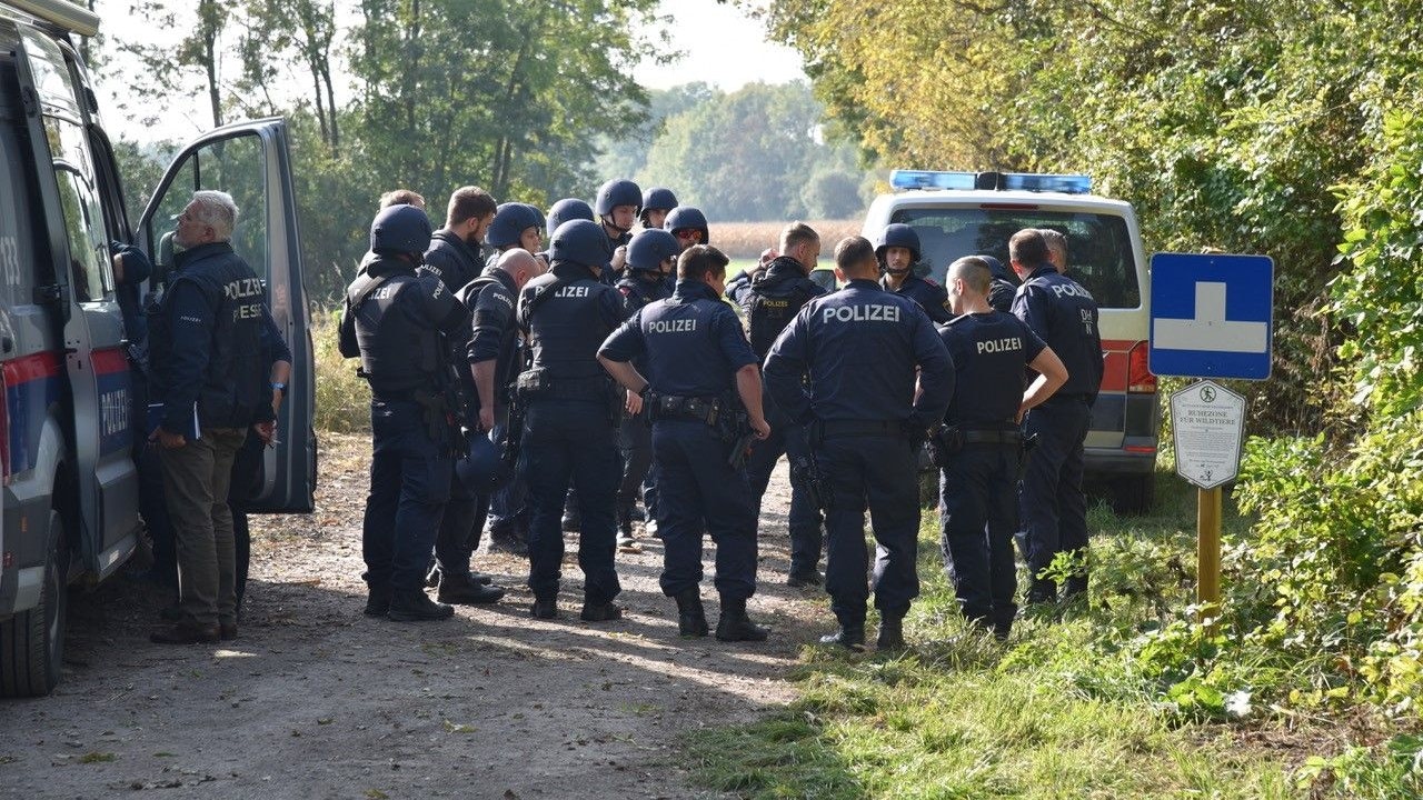 Fieberhafte Suche in Waldstück in Niederösterreich