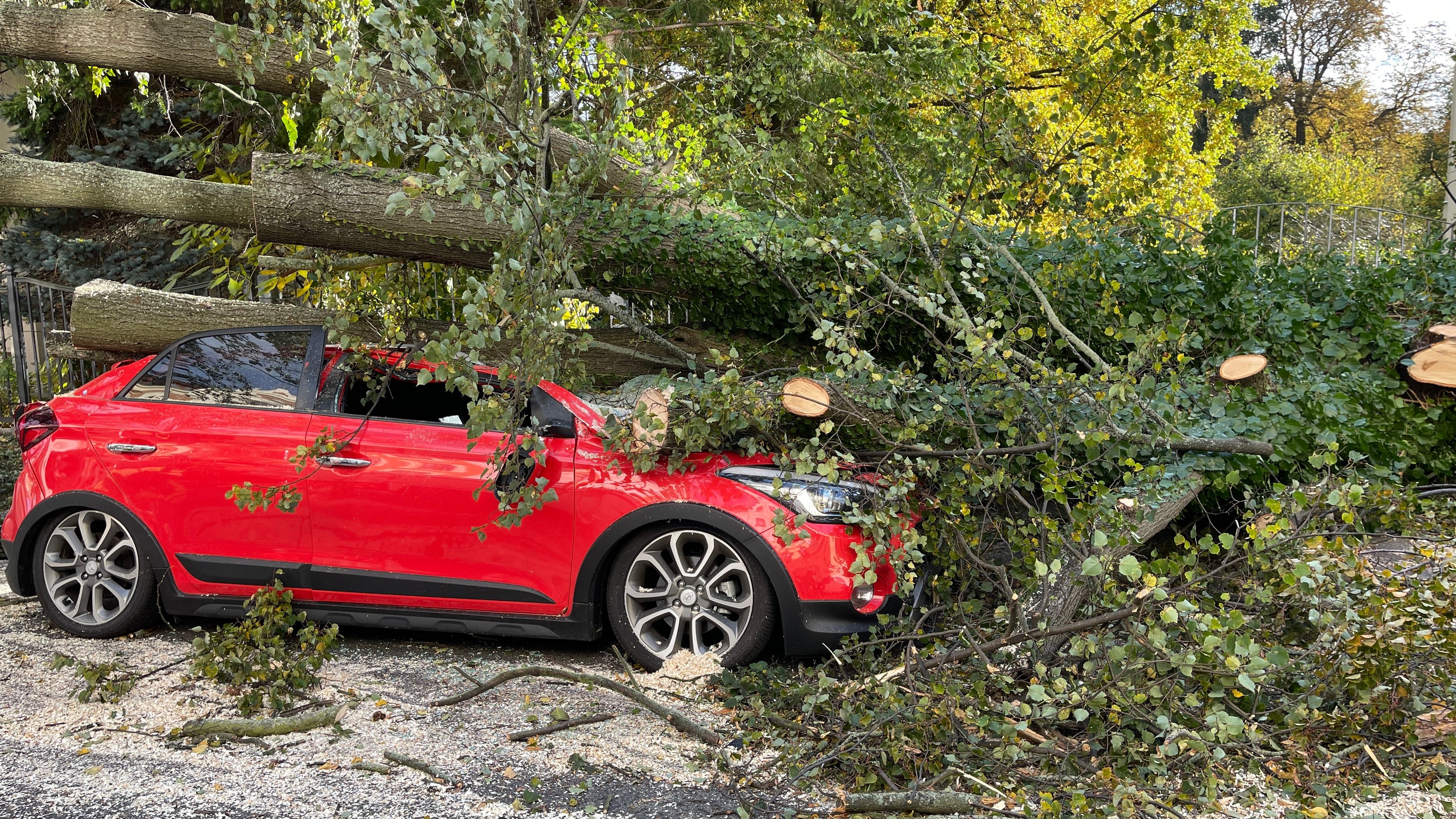 Download von www.picturedesk.com am 21.10.2021 (18:42).  21 October 2021, Saxony, Görlitz: A tree blown down by gusts of wind fell on a car. The autumn storm also has Saxony firmly in its grip on Thursday. Photo: Danilo Dittrich/dpa-Zentralbild/dpa - 20211021_PD5371 - Rechteinfo: Rights Managed (RM)