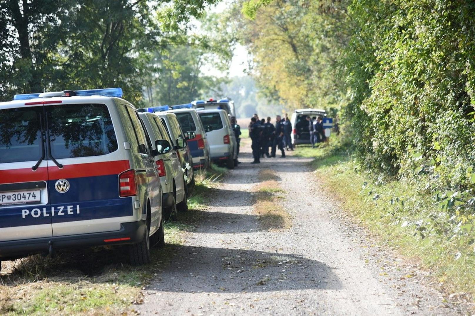 Suchaktion in Waldstück